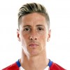 Fernando Torres trøye